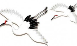 爆料仙鹤特效视频下载免费,免费下载震撼视频，带你领略仙鹤之美