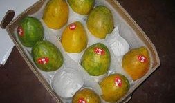 台湾网红吃瓜事件,揭秘网络舆论的风暴与真相